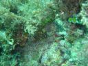 DSC00442.JPG