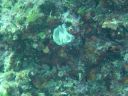 DSC00444.JPG