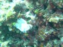 DSC00445.JPG