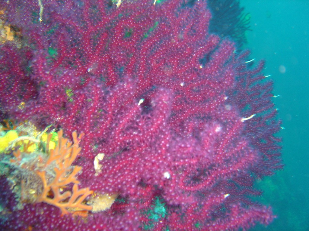 DSC00002.jpg
