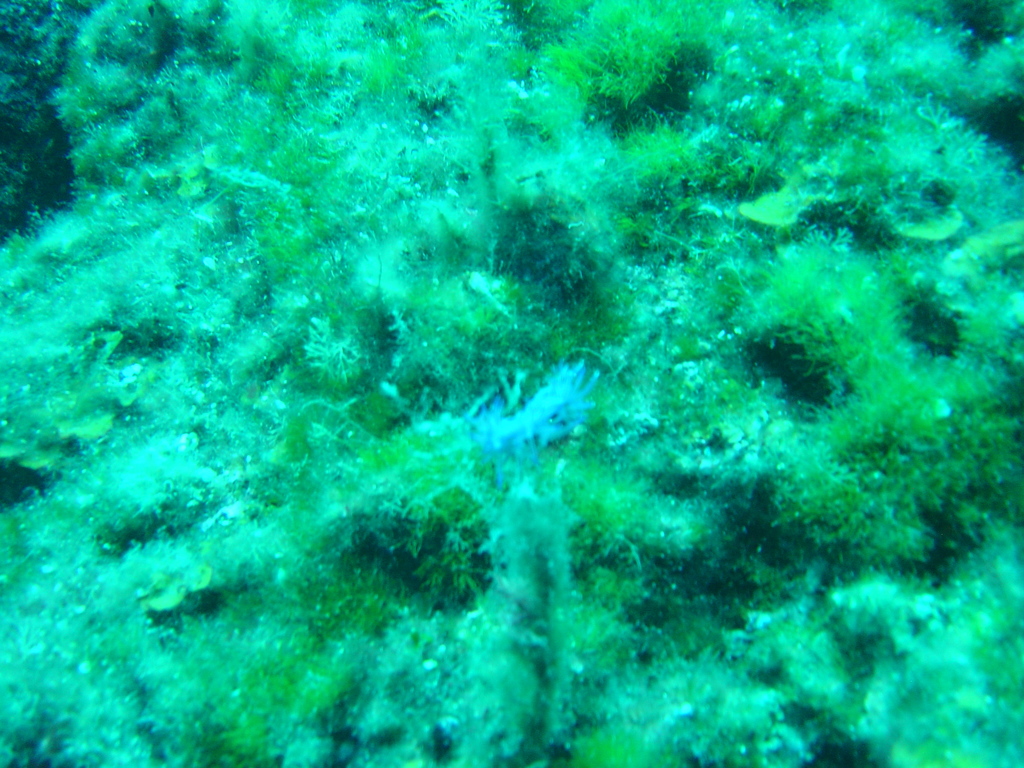 DSC00008.jpg