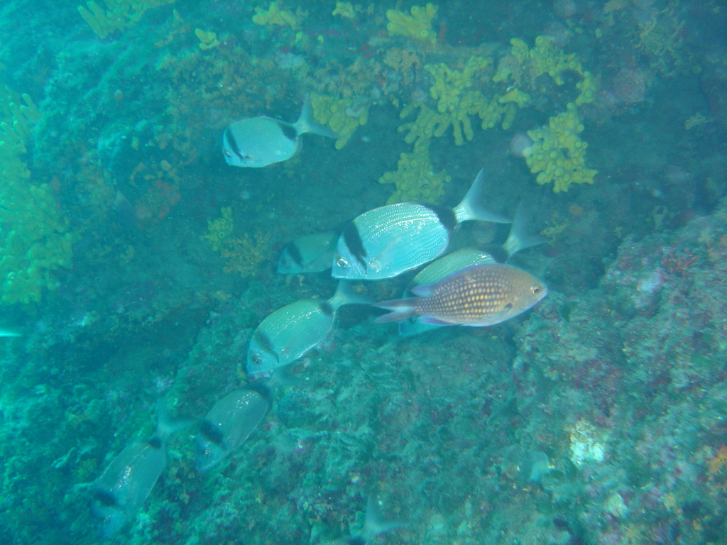 DSC00013.jpg