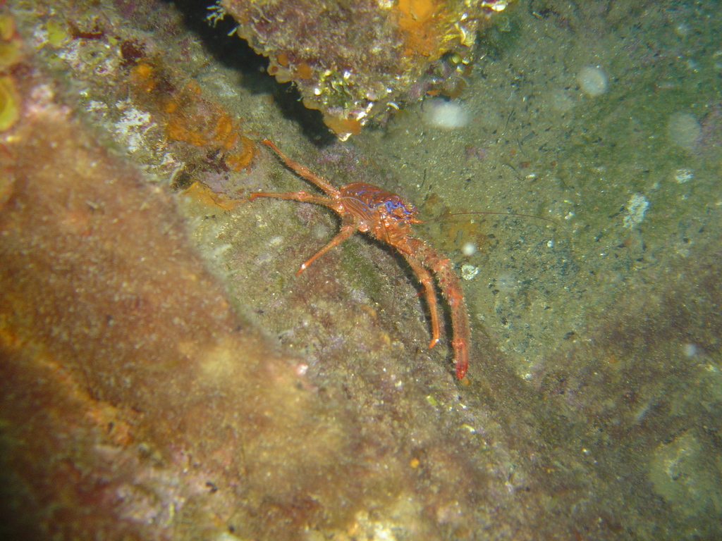DSC00034.jpg