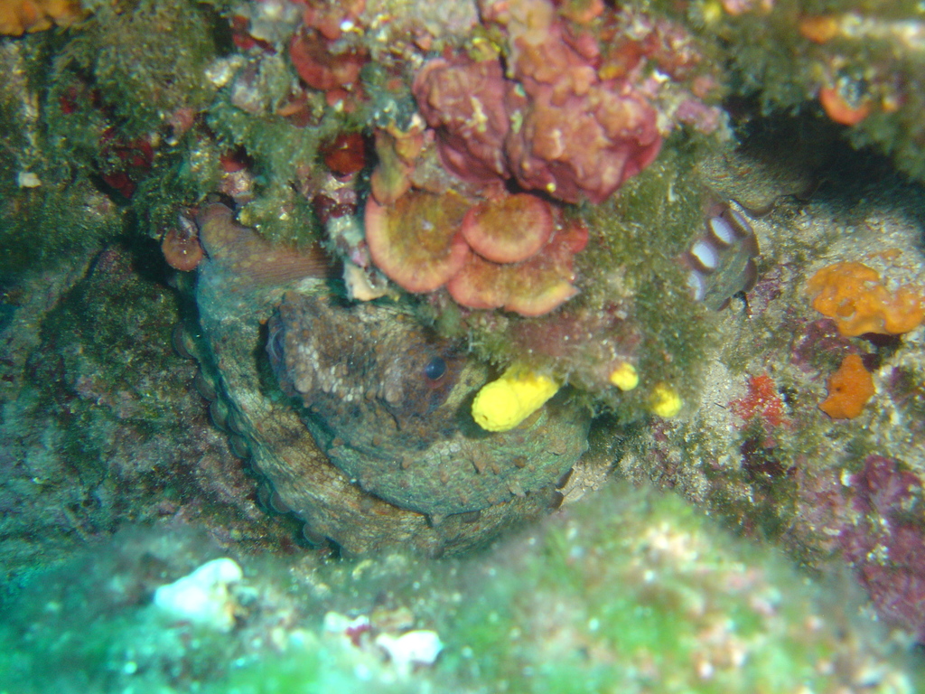 DSC00046.jpg