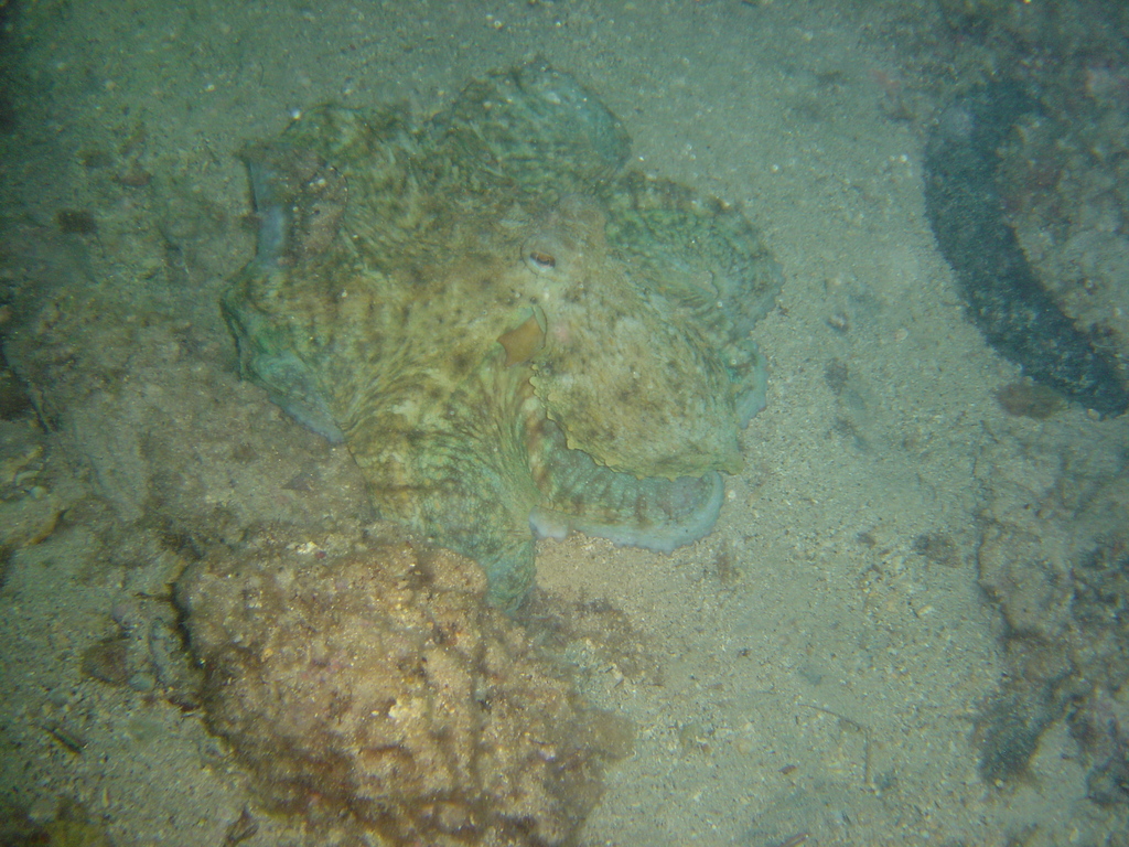 DSC00051.jpg