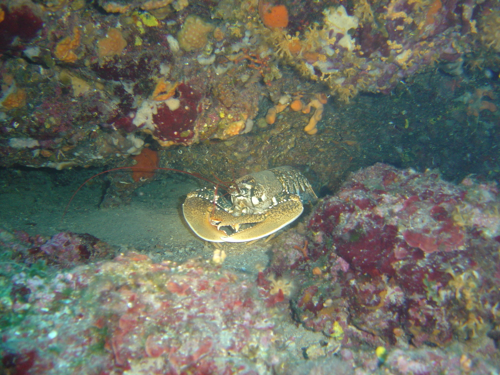 DSC00072.jpg