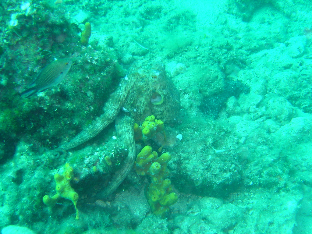 DSC00080.JPG