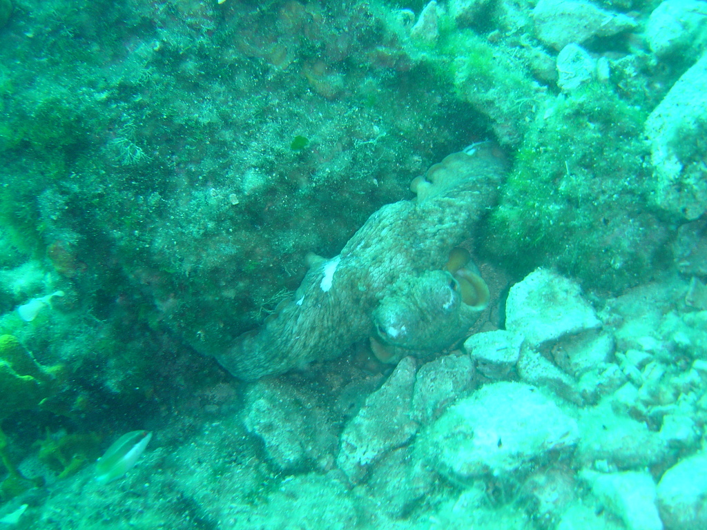 DSC00081.JPG