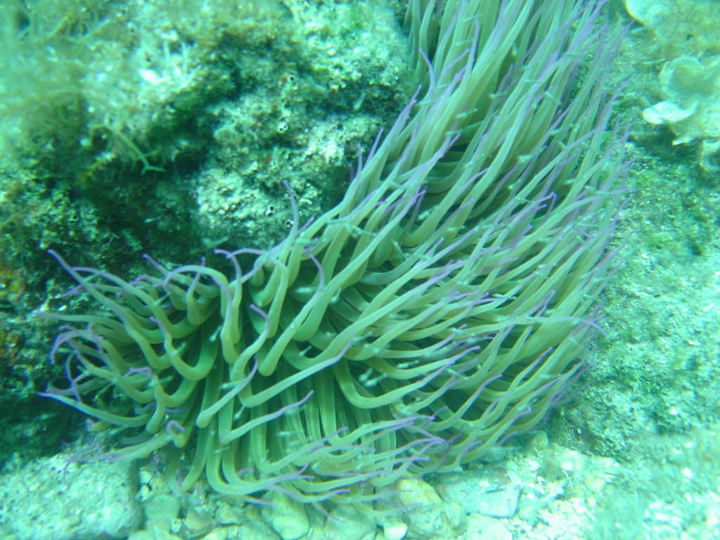 DSC00096.JPG