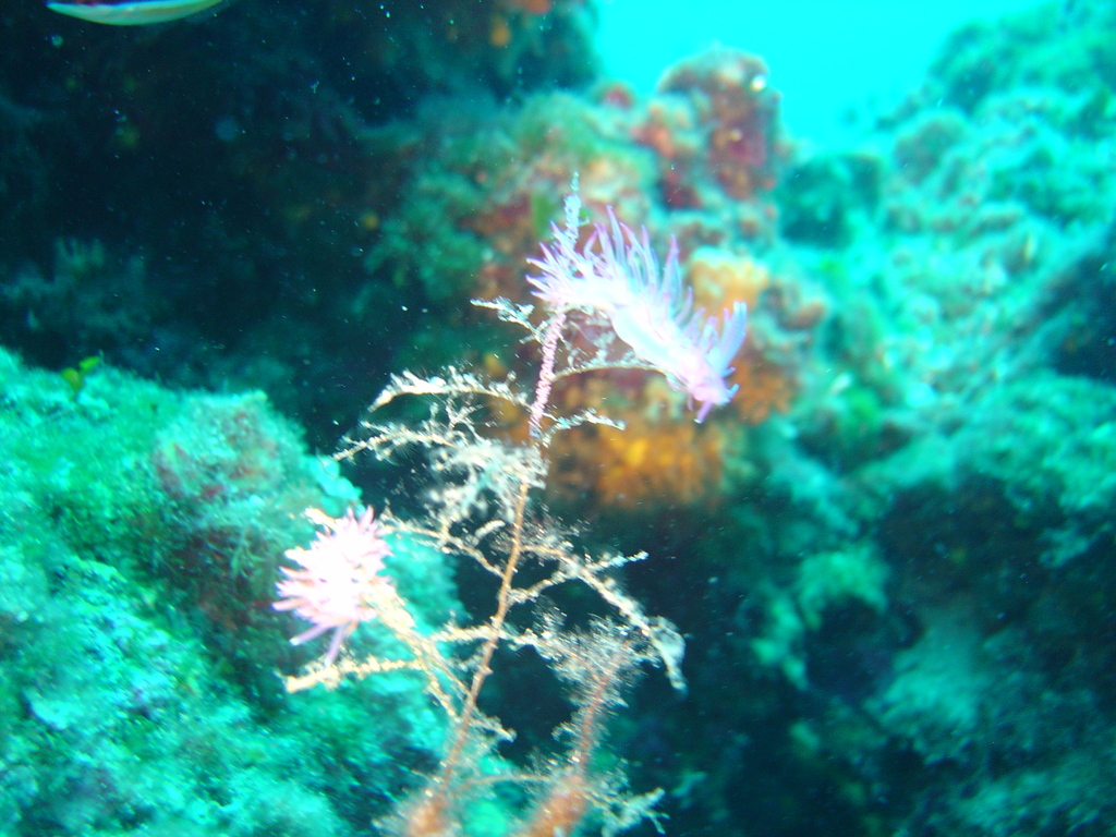 DSC00099.JPG