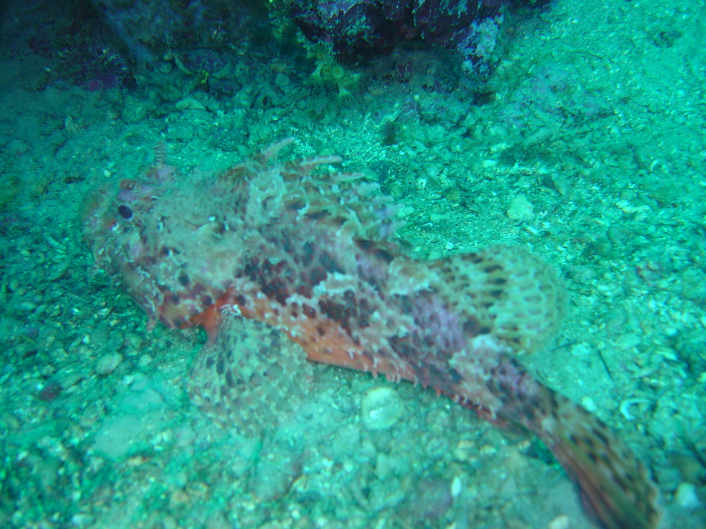 DSC00101.JPG