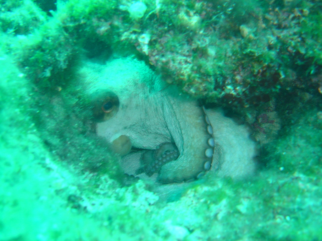 DSC00102.JPG