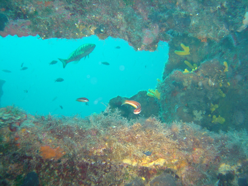DSC00141.JPG