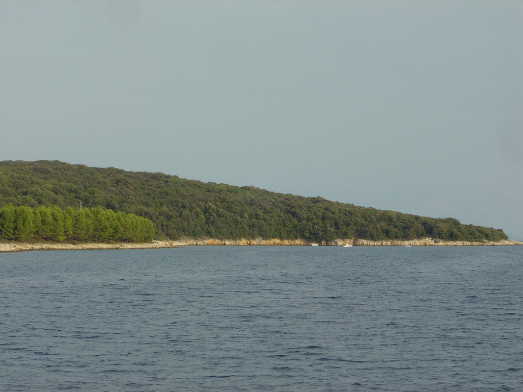 DSC00166.JPG