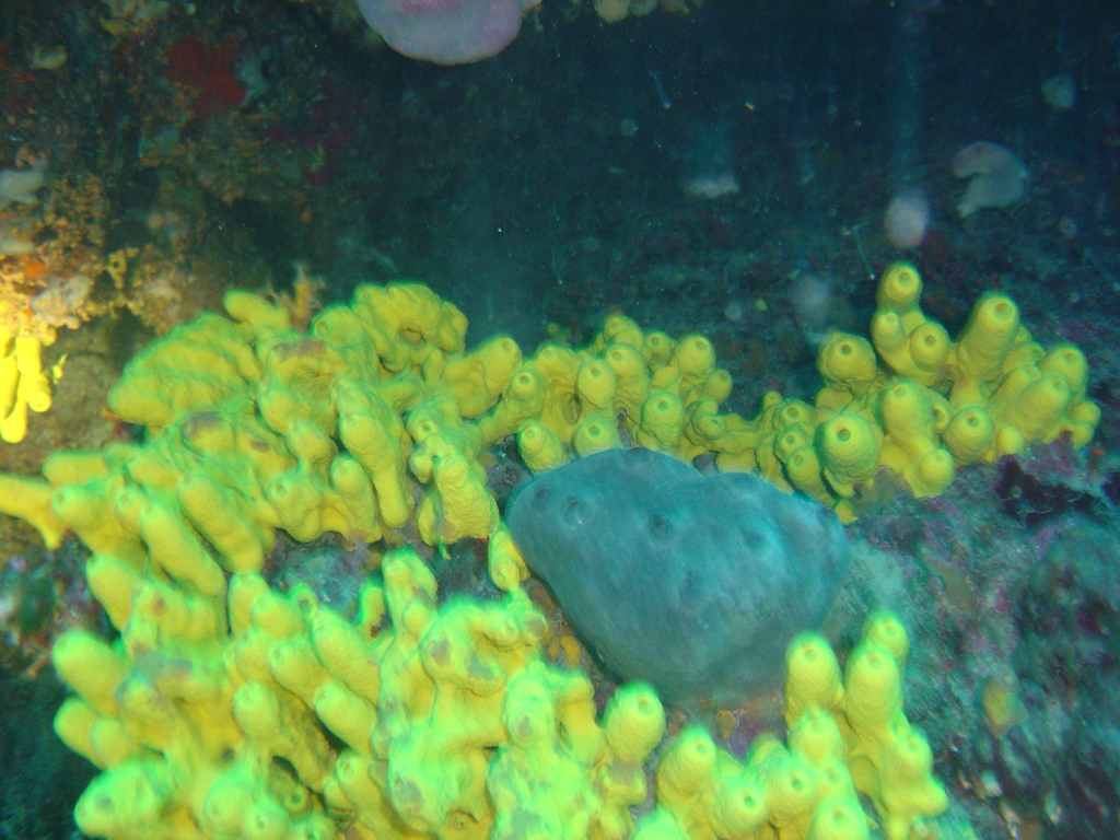 DSC00172.JPG