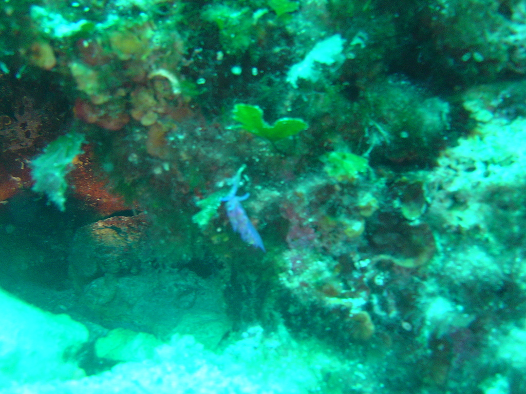 DSC00180.JPG