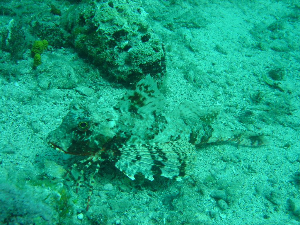 DSC00181.JPG