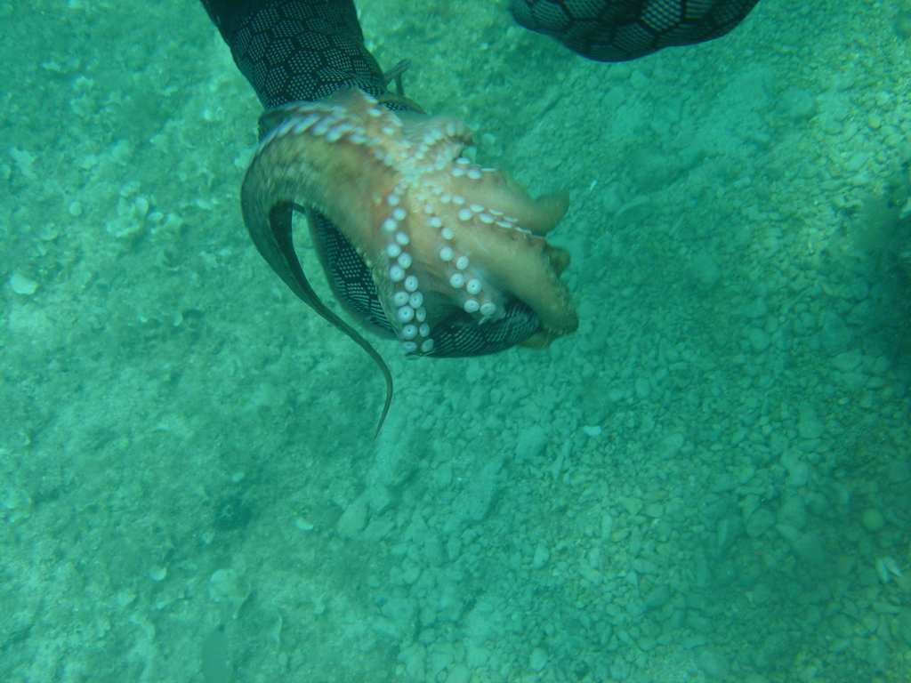 DSC00185.JPG