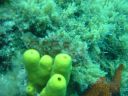 DSC00006.jpg