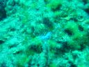 DSC00008.jpg