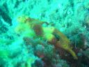 DSC00015.jpg