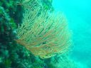 DSC00027.jpg