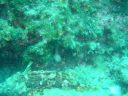 DSC00030.jpg