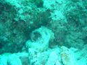 DSC00044.jpg