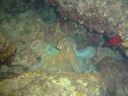 DSC00050.jpg