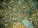 DSC00062.jpg