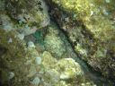 DSC00063.jpg
