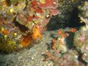 DSC00064.jpg