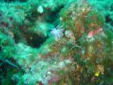 DSC00077.JPG