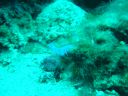 DSC00078.JPG