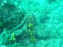 DSC00080.JPG