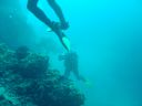 DSC00087.JPG