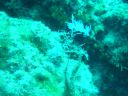 Dateiname=DSC00098.JPG
Dateigröße=428KB
Abmessungen: 1024x768
hinzugefügt am: 06. April 2015 DSC00098.JPG