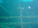 Dateiname=DSC00117.JPG
Dateigröße=446KB
Abmessungen: 1024x768
hinzugefügt am: 06. April 2015 DSC00117.JPG