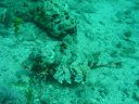 DSC00181.JPG