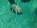 DSC00185.JPG