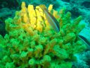 DSC00195.JPG