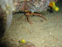 DSC00200.JPG