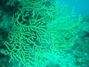 DSC00205.JPG