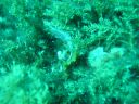DSC00206.JPG