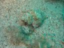 DSC00207.JPG