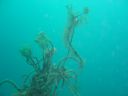 DSC00210.JPG