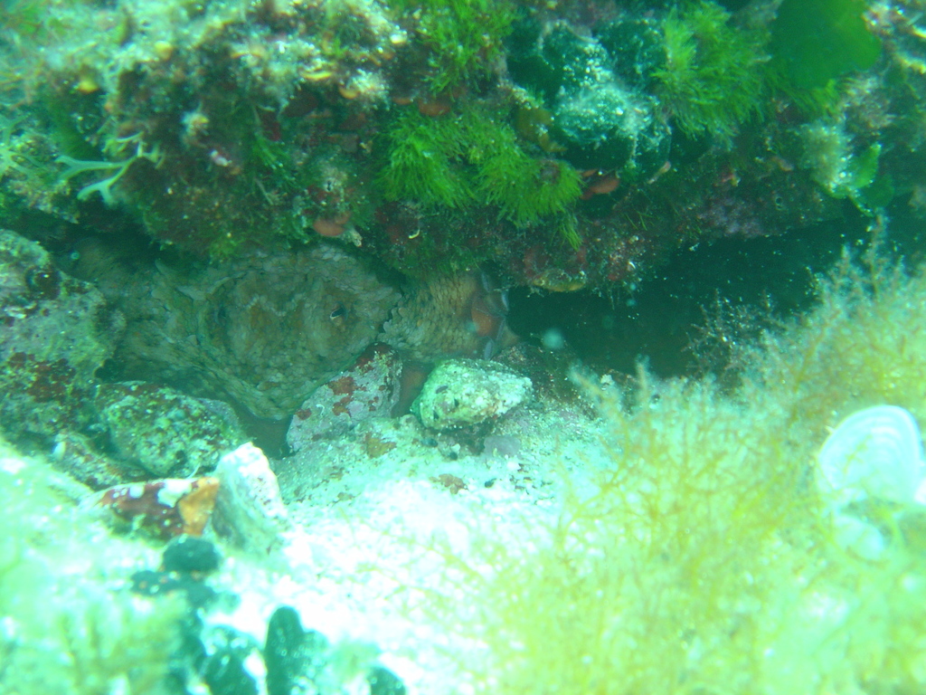 DSC00030.JPG