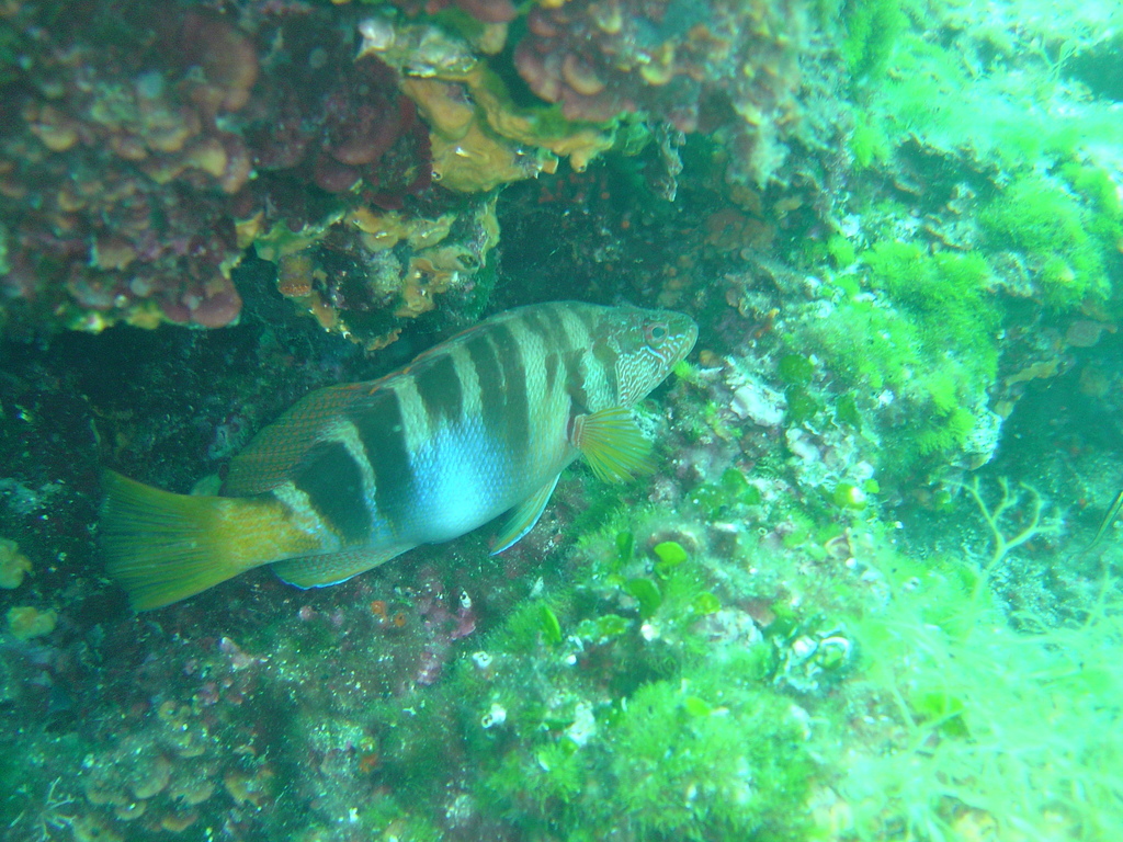 DSC00039.JPG