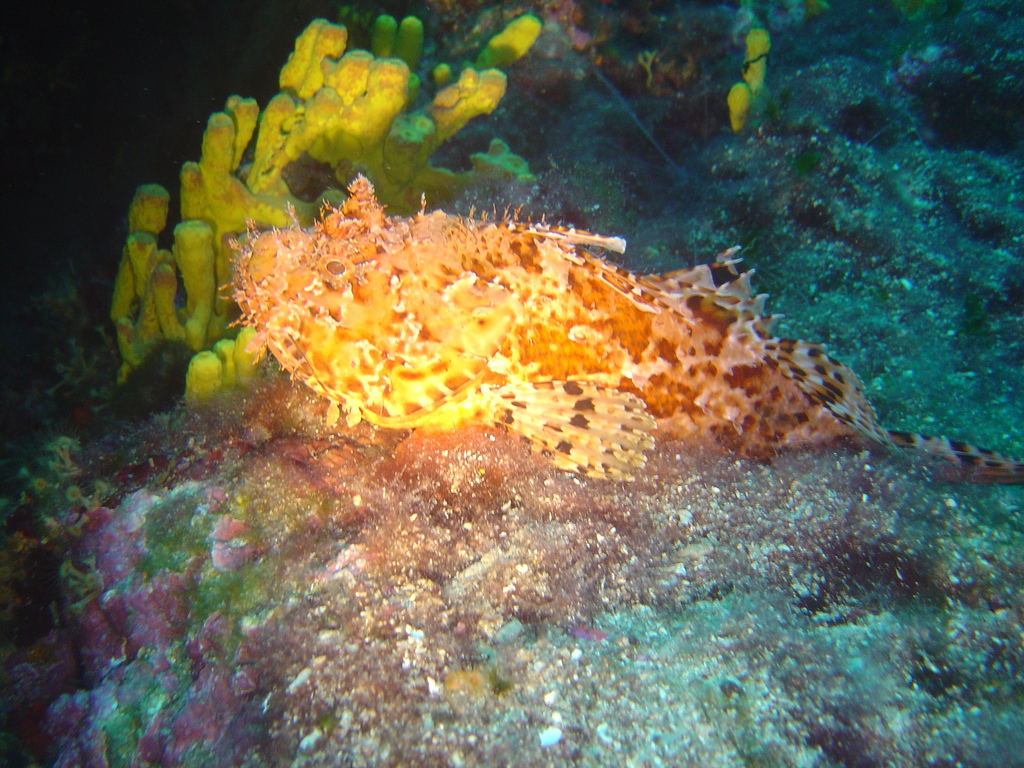 DSC00048.JPG
