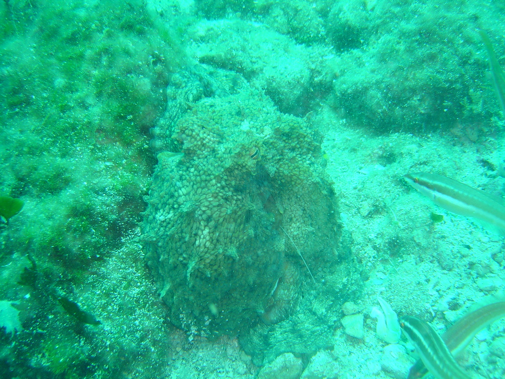 DSC00055.JPG